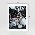 Plakat bez ramy 30x40 - W Zimowej Krainie - renifer, zima