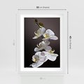 Plakat w ramie 30x40 - SPA: harmonia z kwiatami - spa, kwiaty - rama biała