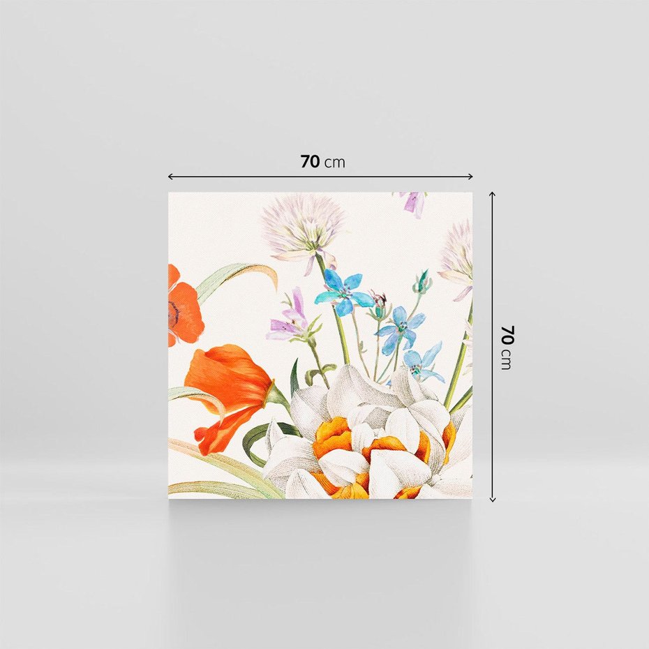 Obraz na płótnie 70x70 - Polne Kwiaty - polne kwiaty, na białym tle