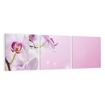 Obraz na płótnie 90x30 - Relaksujące Piękno - kwiaty, orchidea