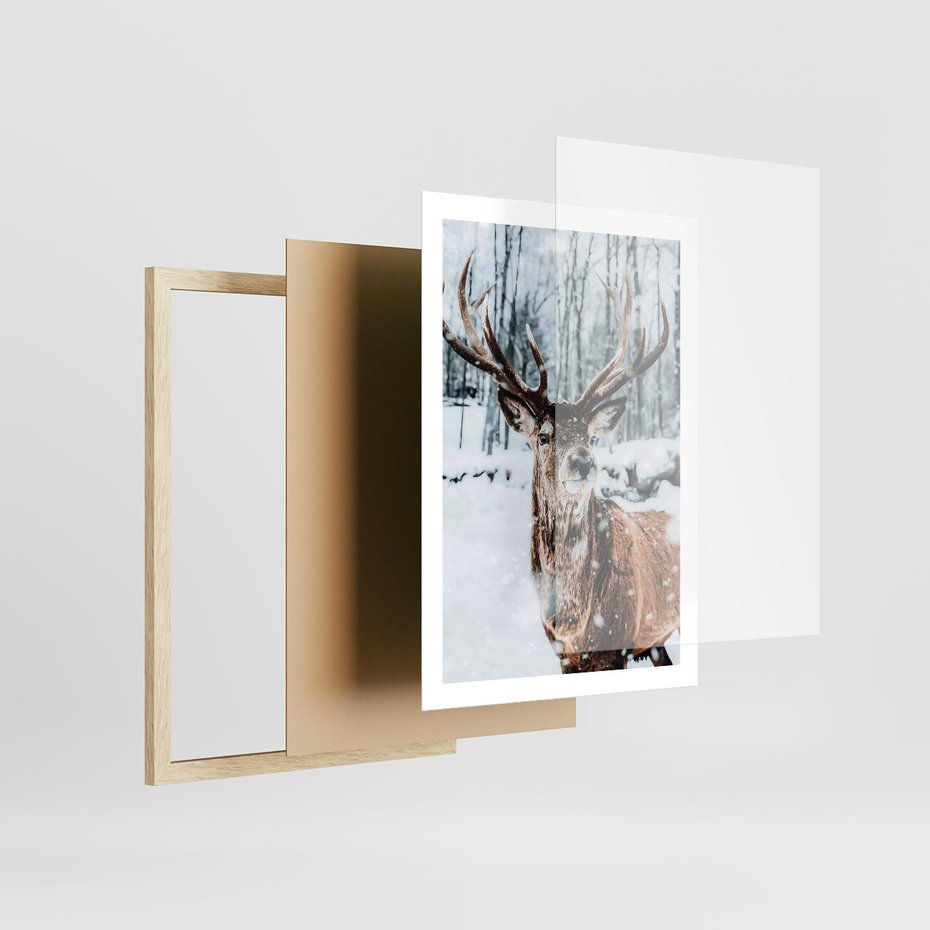 Plakat w ramie 50x70 - Jeleń na Zdjęciu pod Śniegiem - jeleń, zima - rama drewno