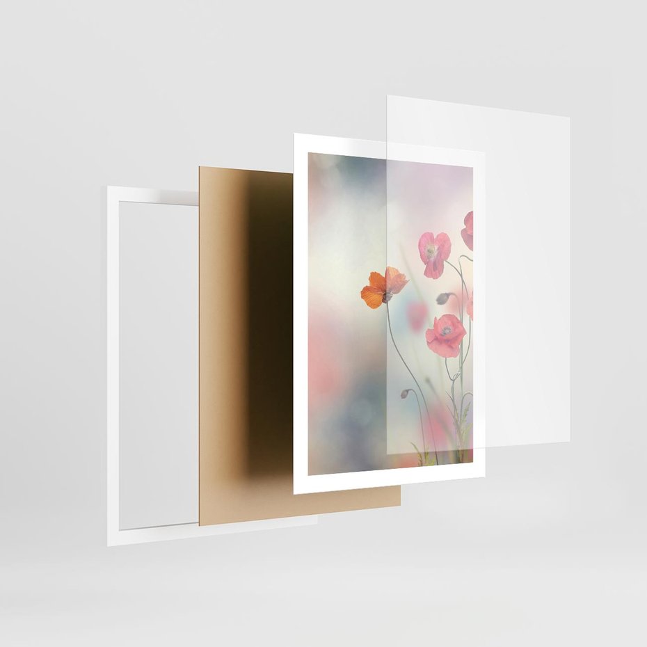 Plakat w ramie 50x70 - Urok natury - kwiaty, akwarela - rama biała