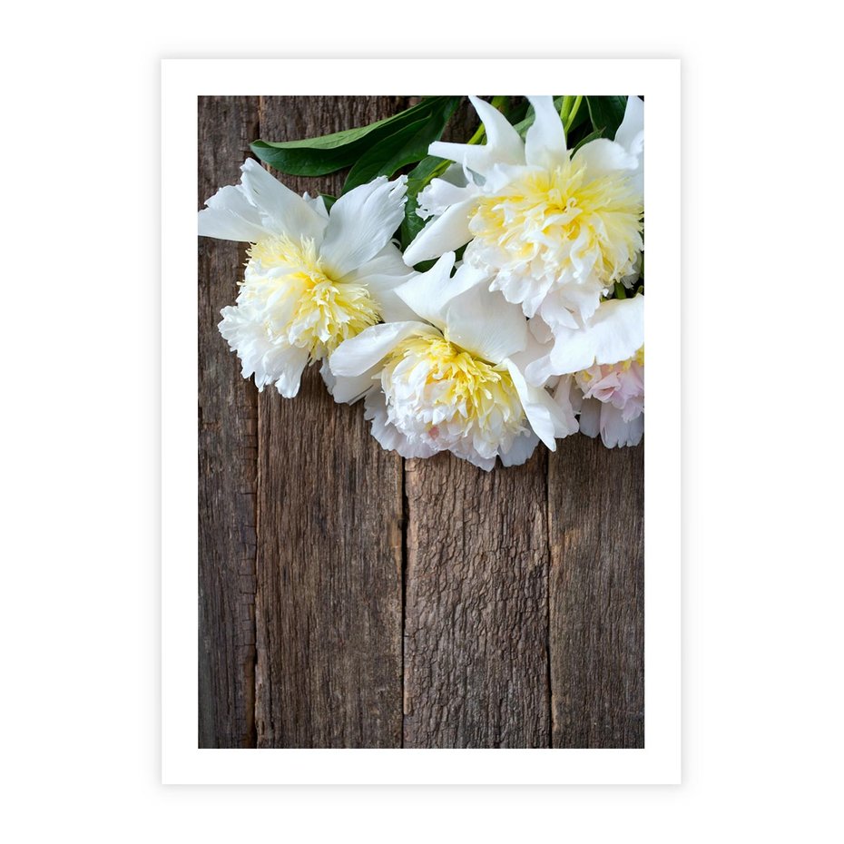 Plakat bez ramy 21x30 - Relaksująca Harmonia - kwiaty, spa