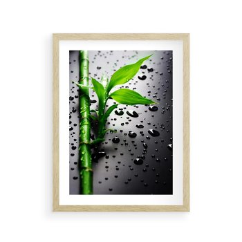 Plakat w ramie 40x50 - Bambusowa Harmonia - bambus, liście - rama drewno