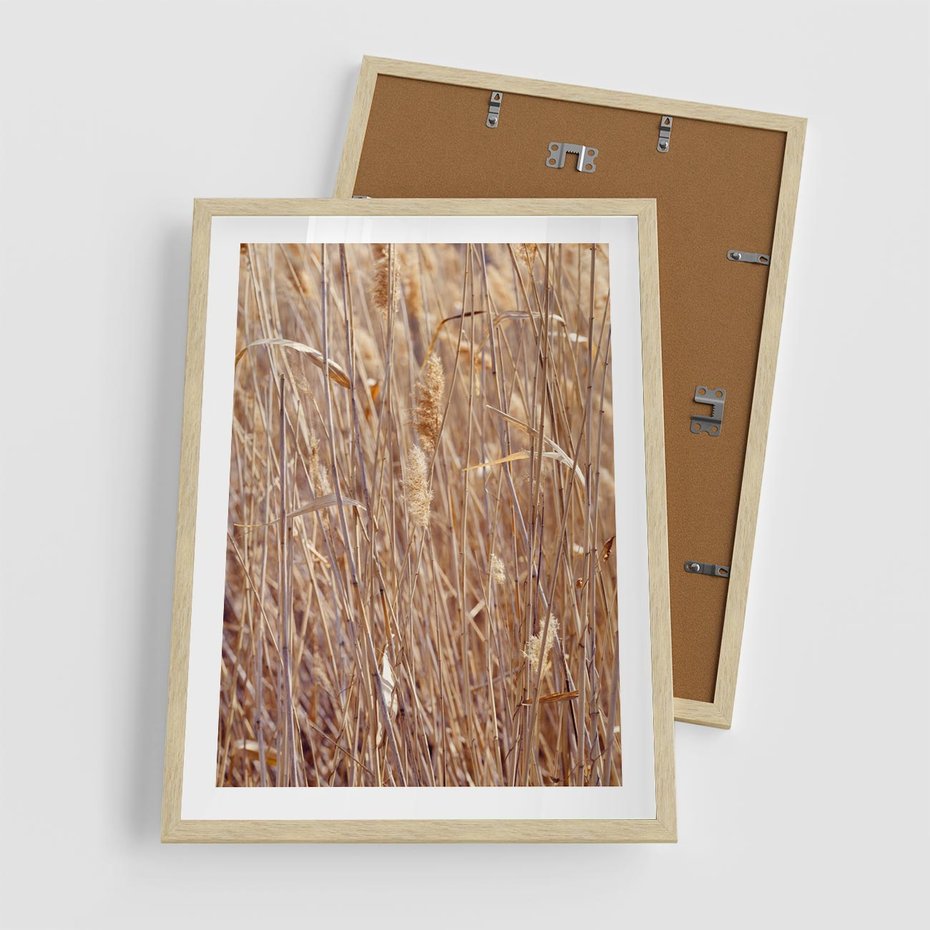 Plakat w ramie 50x70 - Mistrzowskie suche trawy - suche, trawy - rama drewno