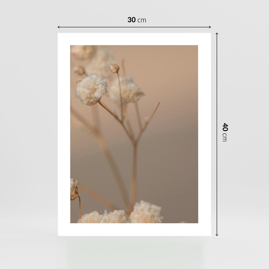 Plakat bez ramy 30x40 - Subtelna gipsówka - gipsówka, suche