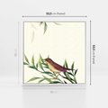 Obraz w ramie 50x50 - Roślinne Nastroje - japońska sztuka, ptak - rama biała