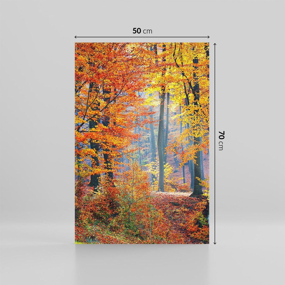 Obraz na płótnie 50x70 - Jesienny taniec lasu - jesień, las