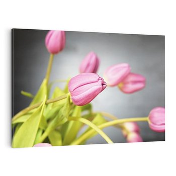 Obraz na płótnie 70x50 - Tulipanowy urok - tulipany, kwiat