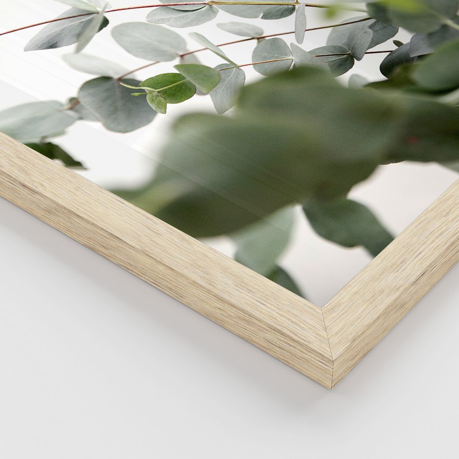 Zestaw obrazy w ramie 40x50 galeria - Eukaliptus, zielone, liście, minimalizm - rama drewno