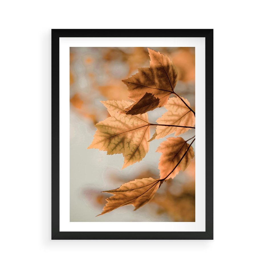 Plakat w ramie 50x70 - Magia Jesieni - liście, jesień - rama czarna