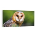 Obraz na płótnie 120x60 - Sowa nocą - sowa, ptak