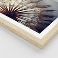 Plakat w ramie 30x40 - Makro piękno dmuchawca - makro, dmuchawiec - rama drewno