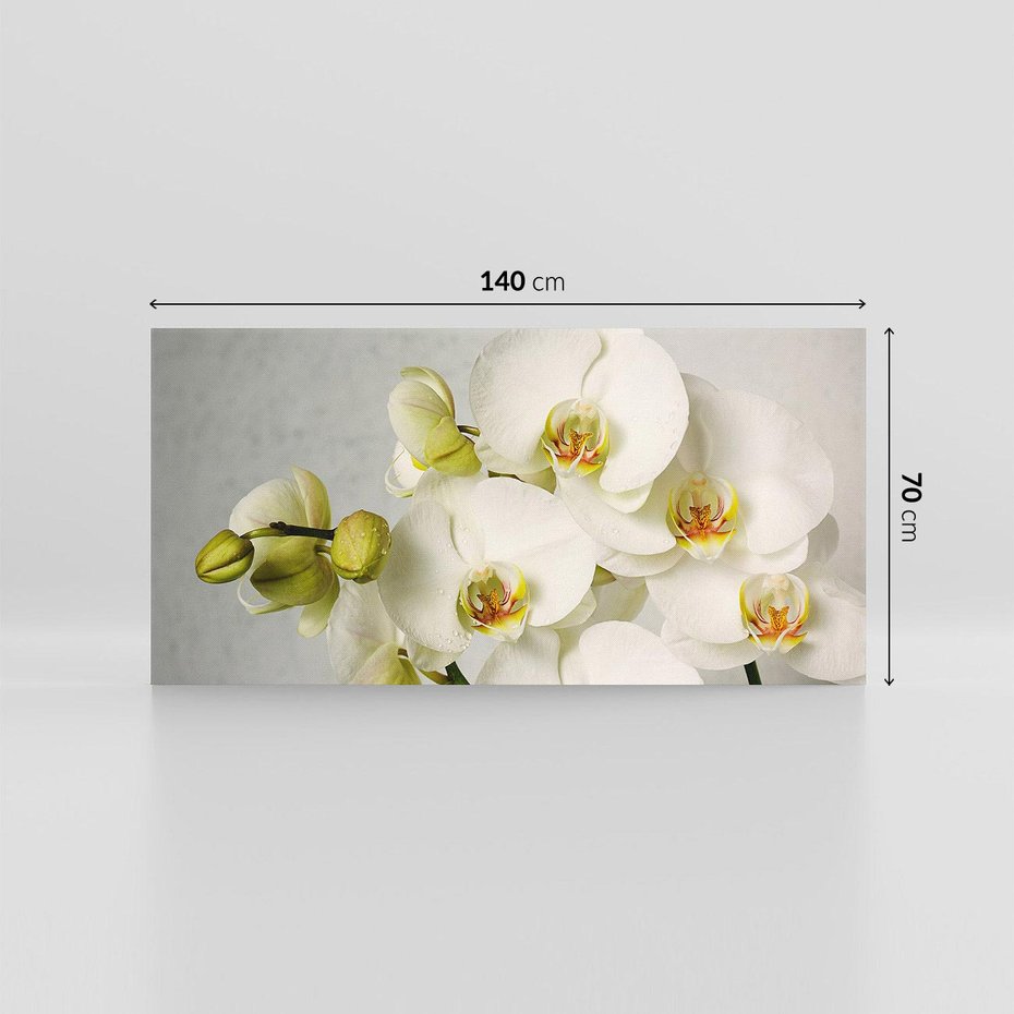 Obraz na płótnie 140x70 - Elegancka uroda orchidei - orchidea, kwiaty