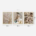 Zestaw obrazy w ramie 40x50 galeria - Boho, wnętrza, liście, trawy - rama drewno
