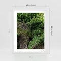 Plakat w ramie 40x50 - Żywiołowa Zieleń - mur, liście - rama biała
