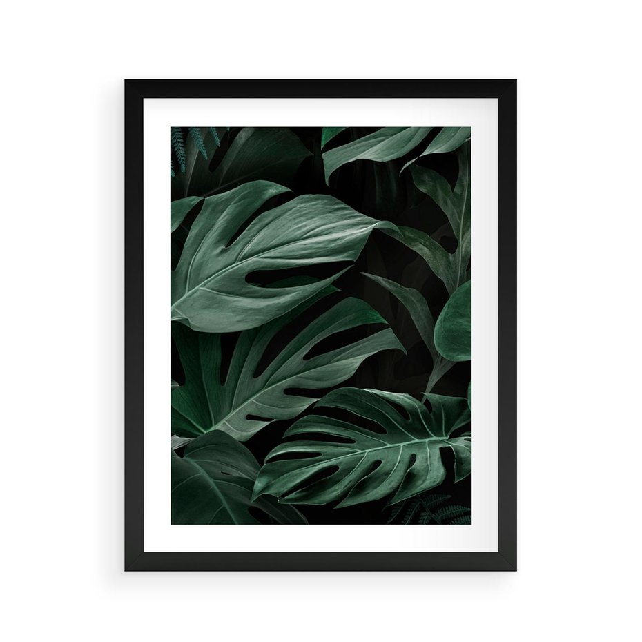 Plakat w ramie 40x50 - Zielone Liście Monstery w Dżungli - zielone liście monstery, dżungla - rama czarna