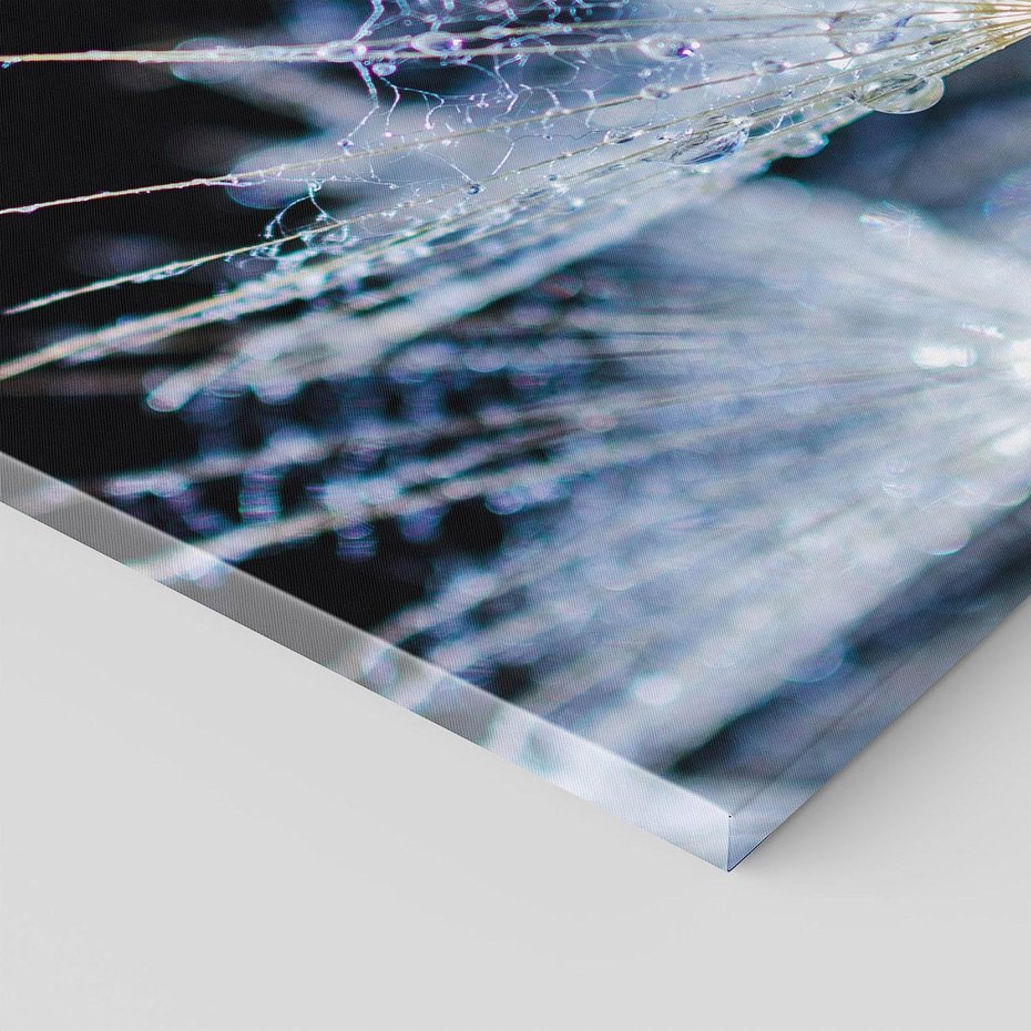 Obraz na płótnie 120x80 - Makro piękno dmuchawców - makro, dmuchawce