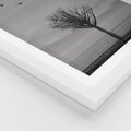 Plakat w ramie 40x50 - Samotne Drzewo - samotne drzewo w polu, czarno białe zdjęcie - rama biała