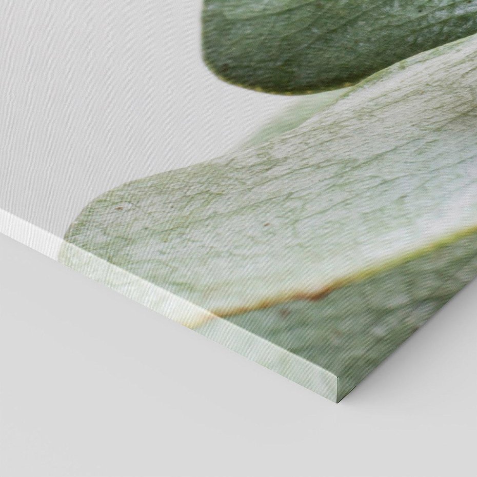 Obraz na płótnie 70x50 - Eukaliptusowa zieleń - eukaliptus, zielone