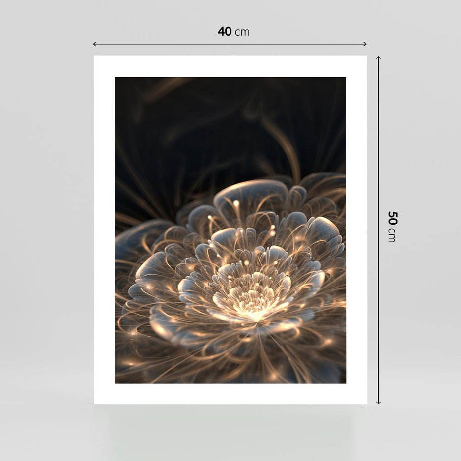 Plakat bez ramy 40x50 - Nowoczesny Kwiat - kwiat, nowoczesny