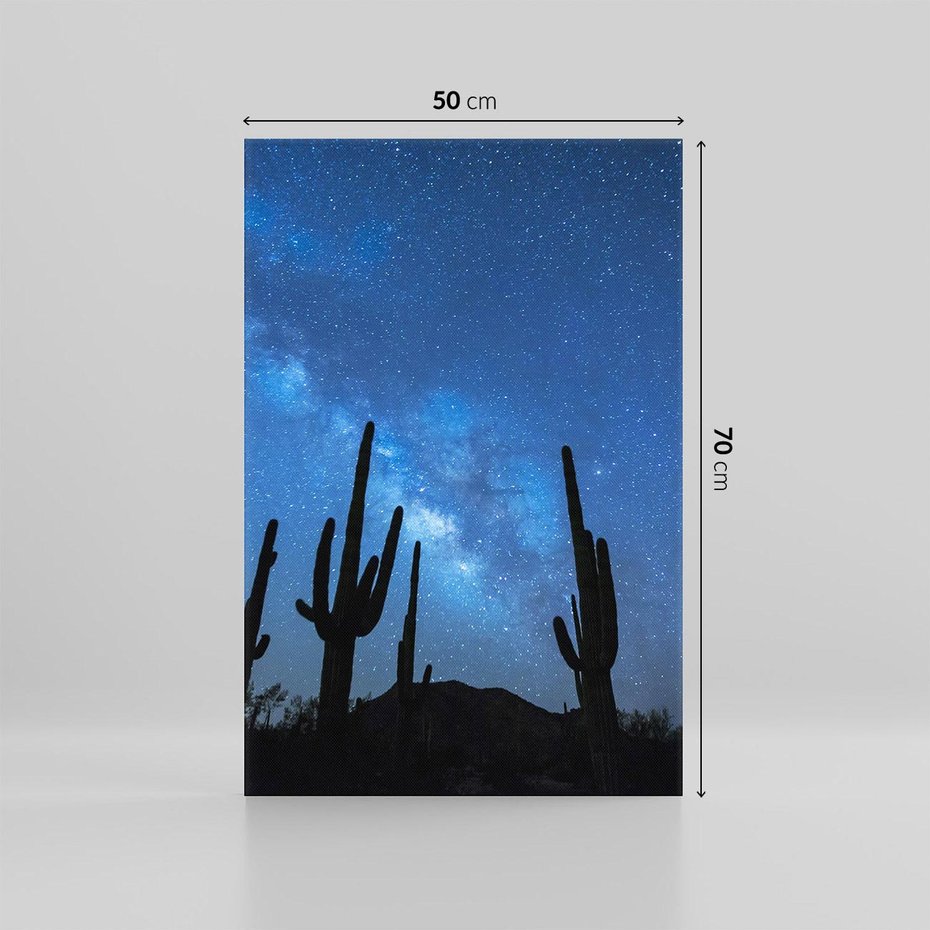 Obraz na płótnie 50x70 - Kaktusy - Niebo z gwiazdami - kaktusy, niebo