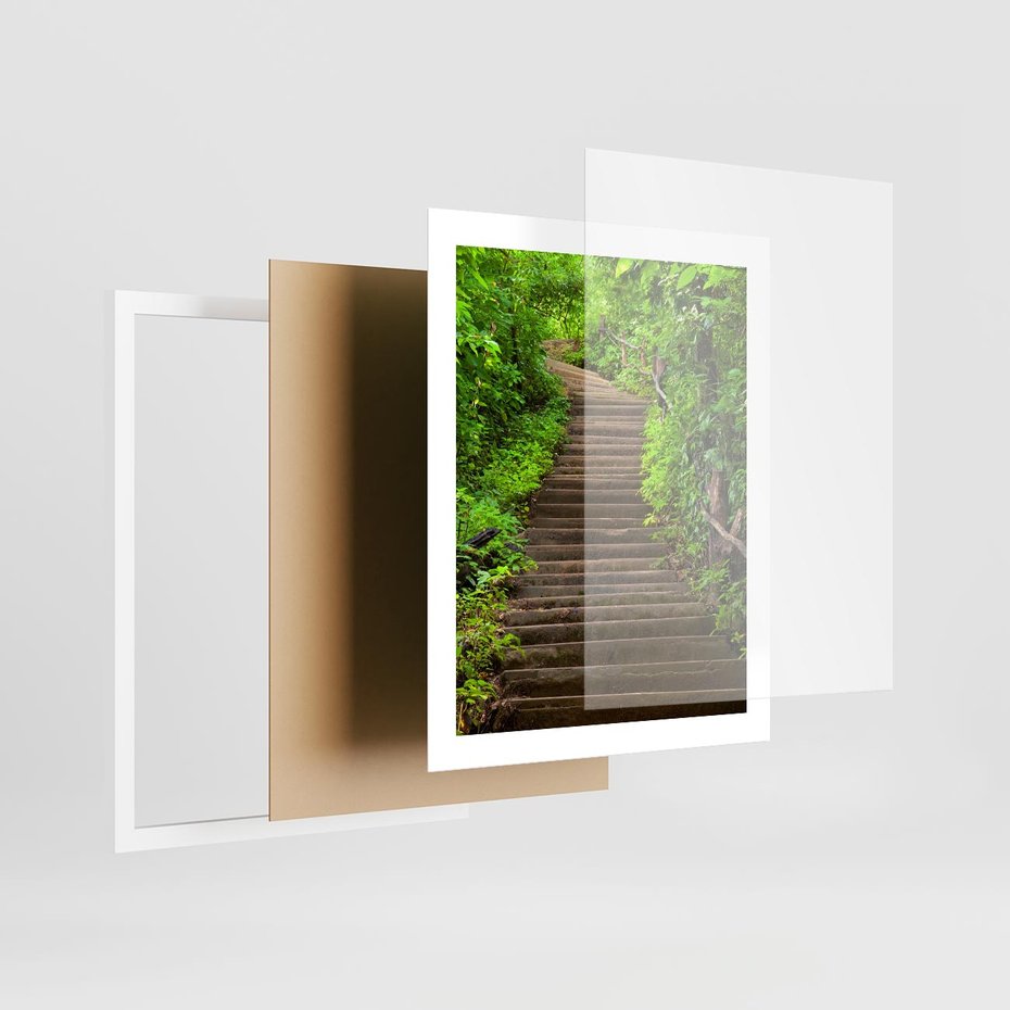 Plakat w ramie 40x50 - Magia Leśnej Ścieżki - ścieżka, w lesie - rama biała