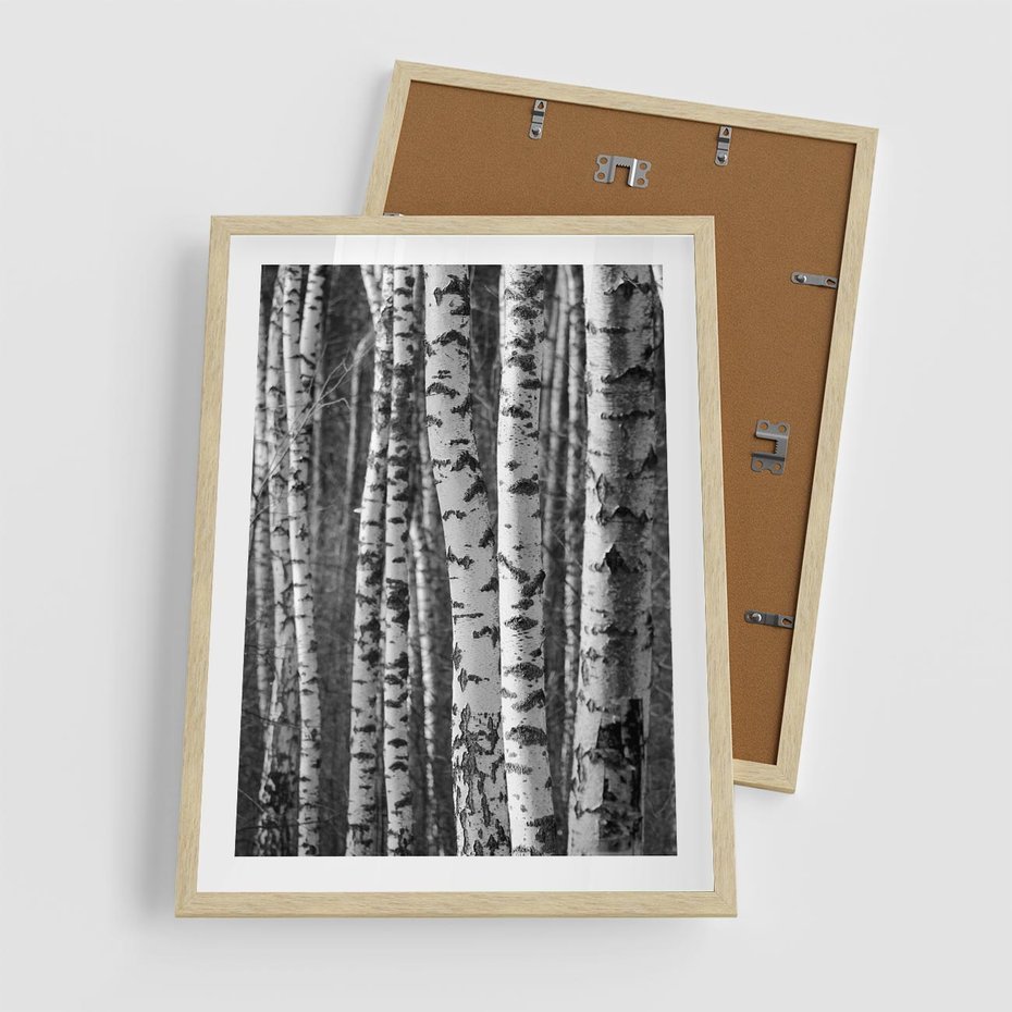 Plakat w ramie 50x70 - Kontrast Monochromatyczny - brzozy, czarno - rama drewno