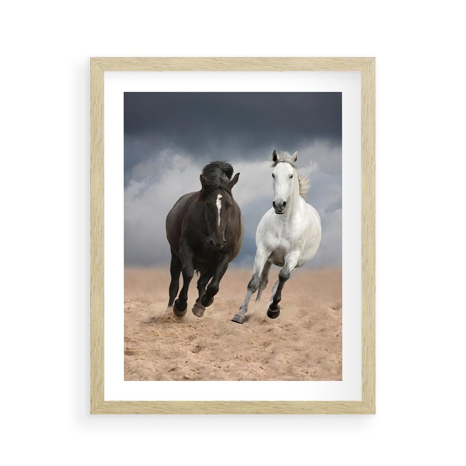 Plakat w ramie 40x50 - Siła koni w galopie - konie, galop - rama drewno
