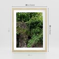 Plakat w ramie 40x50 - Żywiołowa Zieleń - mur, liście - rama drewno