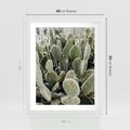 Plakat w ramie 40x50 - Kaktusowa Harmonia - kaktusy, fotografia - rama biała