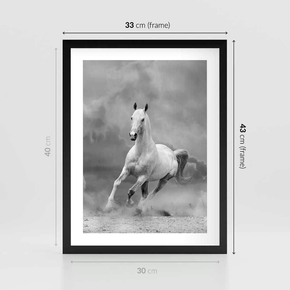 Plakat w ramie 30x40 - Elegancja w Czarno-Białym - koń, biało - rama czarna