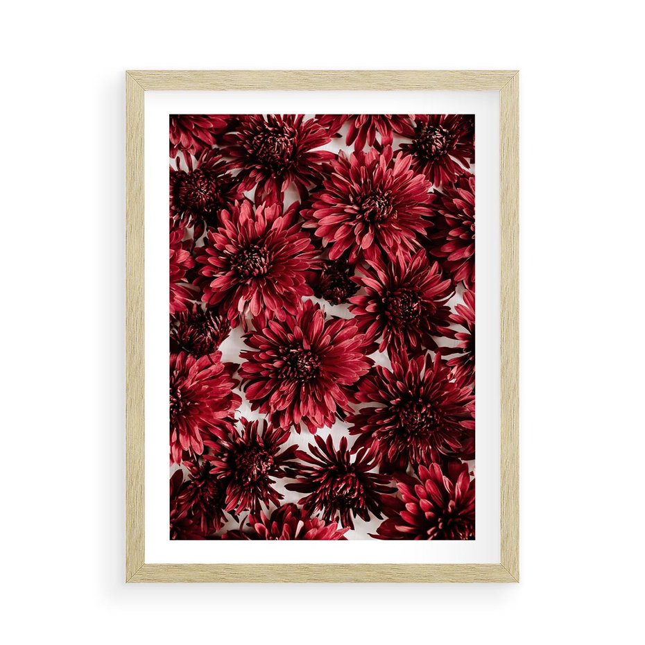 Plakat w ramie 50x70 - Energia Kwiatów - czerwone kwiaty, kompozycja - rama drewno