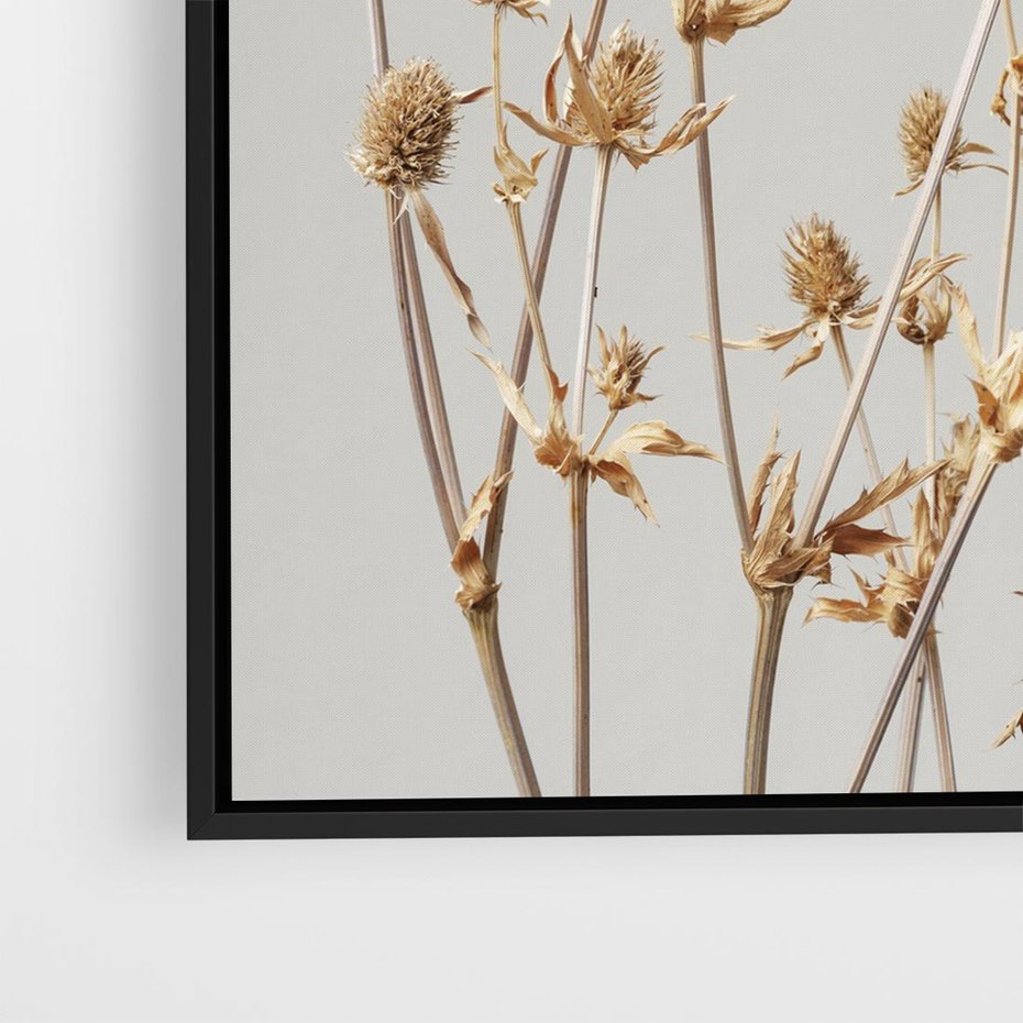 Obraz w ramie 50x50 - Delikatne gipsówki - gipsówka, suche - rama czarna