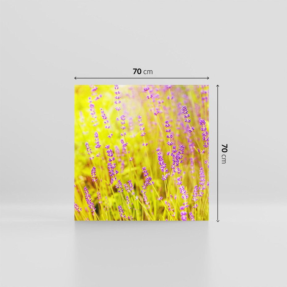 Obraz na płótnie 70x70 - Delikatność natury - lawenda, kwiaty