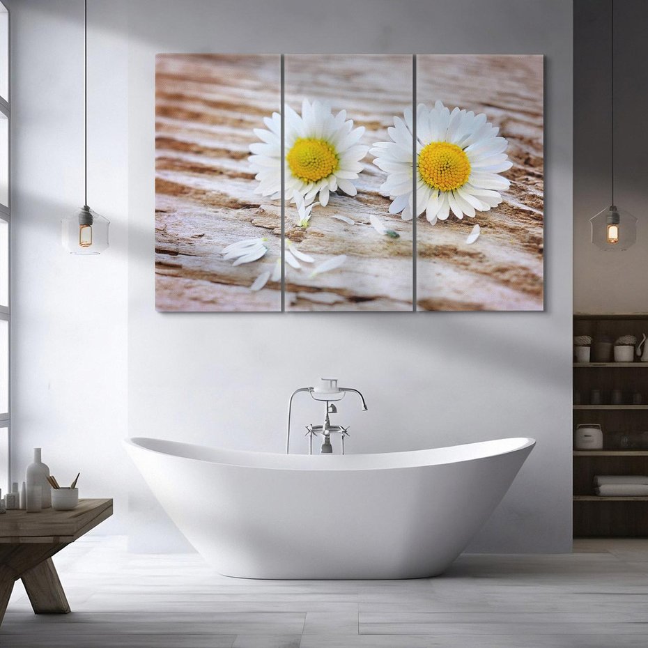 Obraz na płótnie 120x80 - Stokrotkowa Delikatność - stokrotka, kwiaty