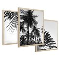 Zestaw obrazy w ramie 30x40 galeria - Palmy, czarno, biały, minimalizm - rama drewno