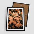 Plakat w ramie 50x70 - Ciepło Jesieni - jesienne pomarańczowe liśćie, jesień - rama czarna