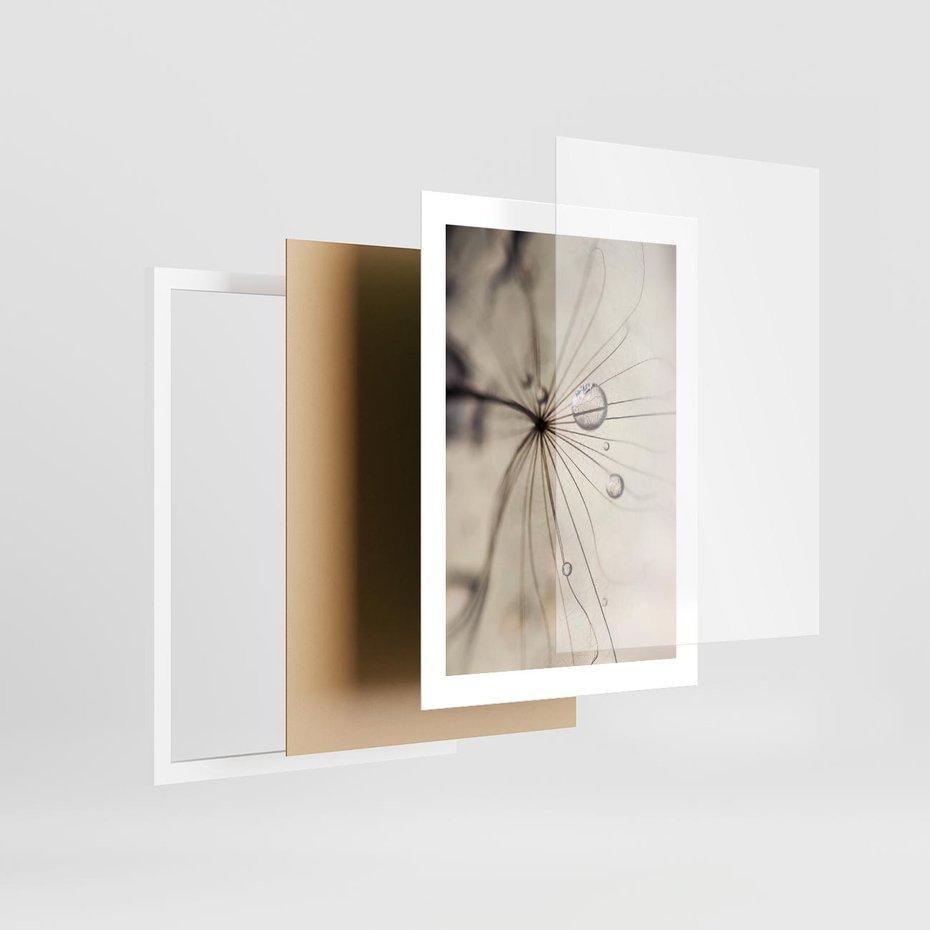 Plakat w ramie 30x40 - Makro Uroda: Kropla na Dmuchawcu - zbliżenie makro, kropla wody na ziarenku dmuchawca - rama biała