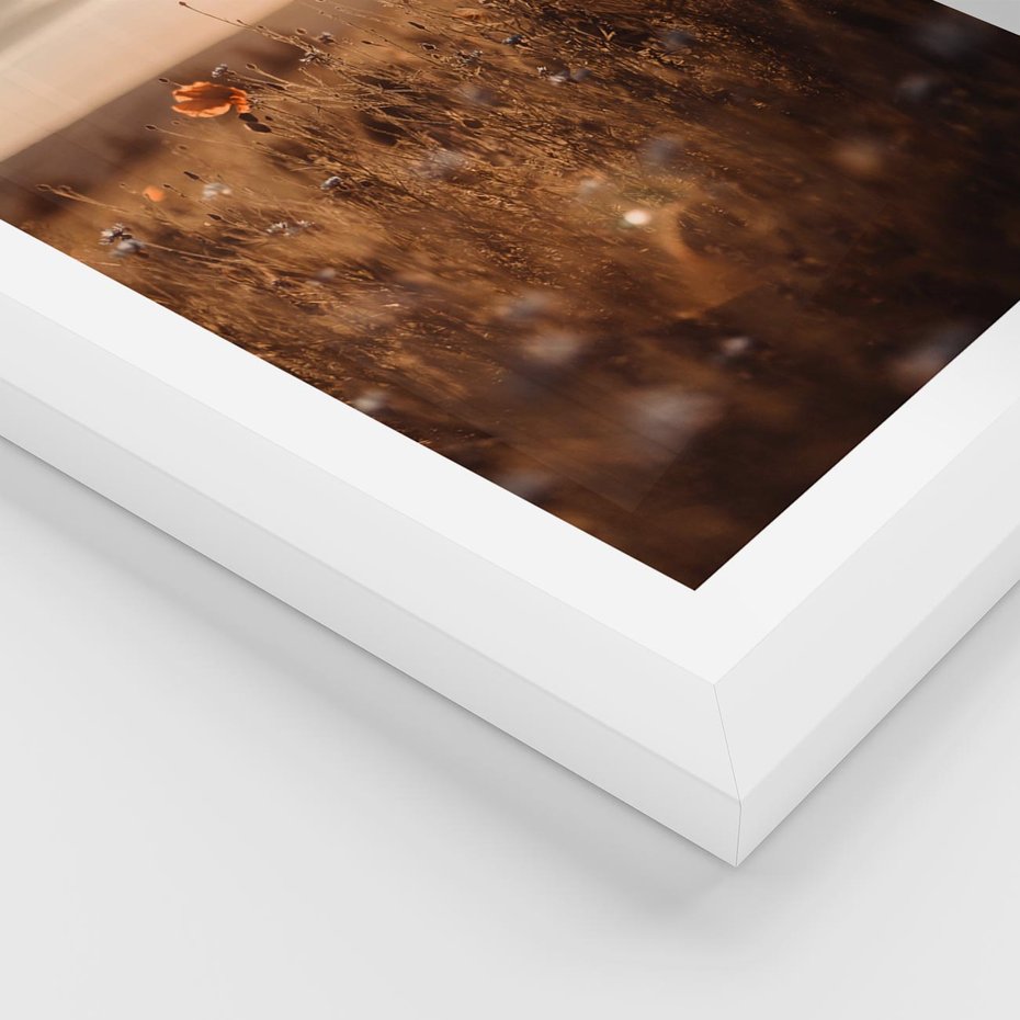 Plakat w ramie 50x70 - Zachwyt zachodem słońca na łące - zachód, słońca - rama biała