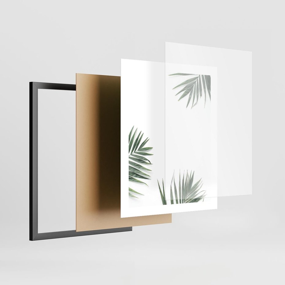 Plakat w ramie 40x50 - Liście Palmy na Czystym Tle - liście palmy, białe tło - rama czarna