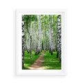 Plakat w ramie 50x70 - Bajkowy las pełen brzóz - las, brzozy - rama biała