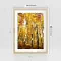 Plakat w ramie 30x40 - Jesienny Las - Kolorowa Paleta Natury - jesień, drzewa - rama drewno