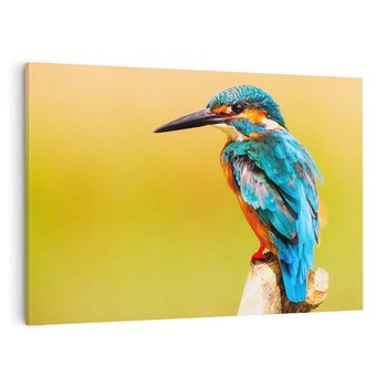 Obraz na płótnie 120x80 - Koliber: Kolorowy taniec w powietrzu - koliber, ptak