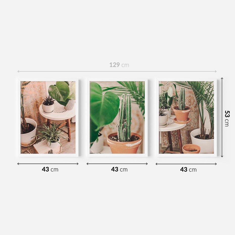 Zestaw obrazy w ramie 40x50 galeria - Kwiaty, kaktusy, w, doniczkach, boho - rama biała