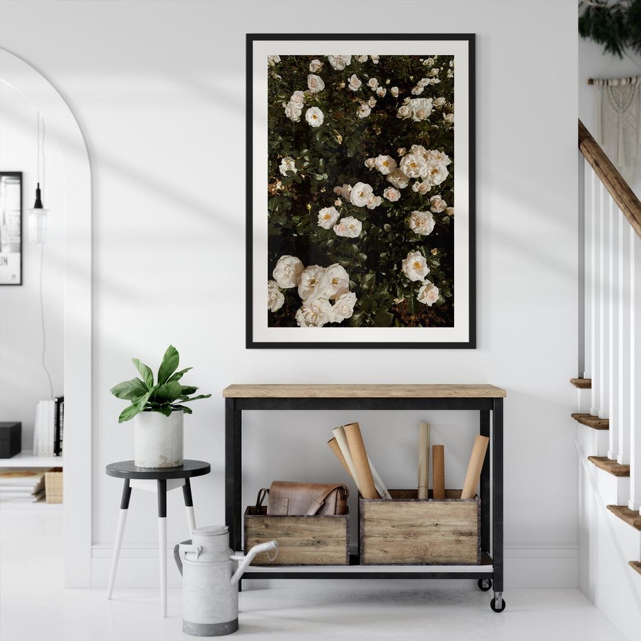 Plakat w ramie 50x70 - Czyste Piękno - białe kwiaty, białe róże - rama czarna