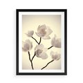 Plakat w ramie 50x70 - Elegancja Natury - magnolia, białe - rama czarna