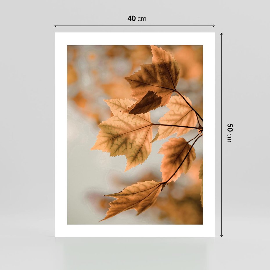 Plakat bez ramy 40x50 - Magia Jesieni - liście, jesień