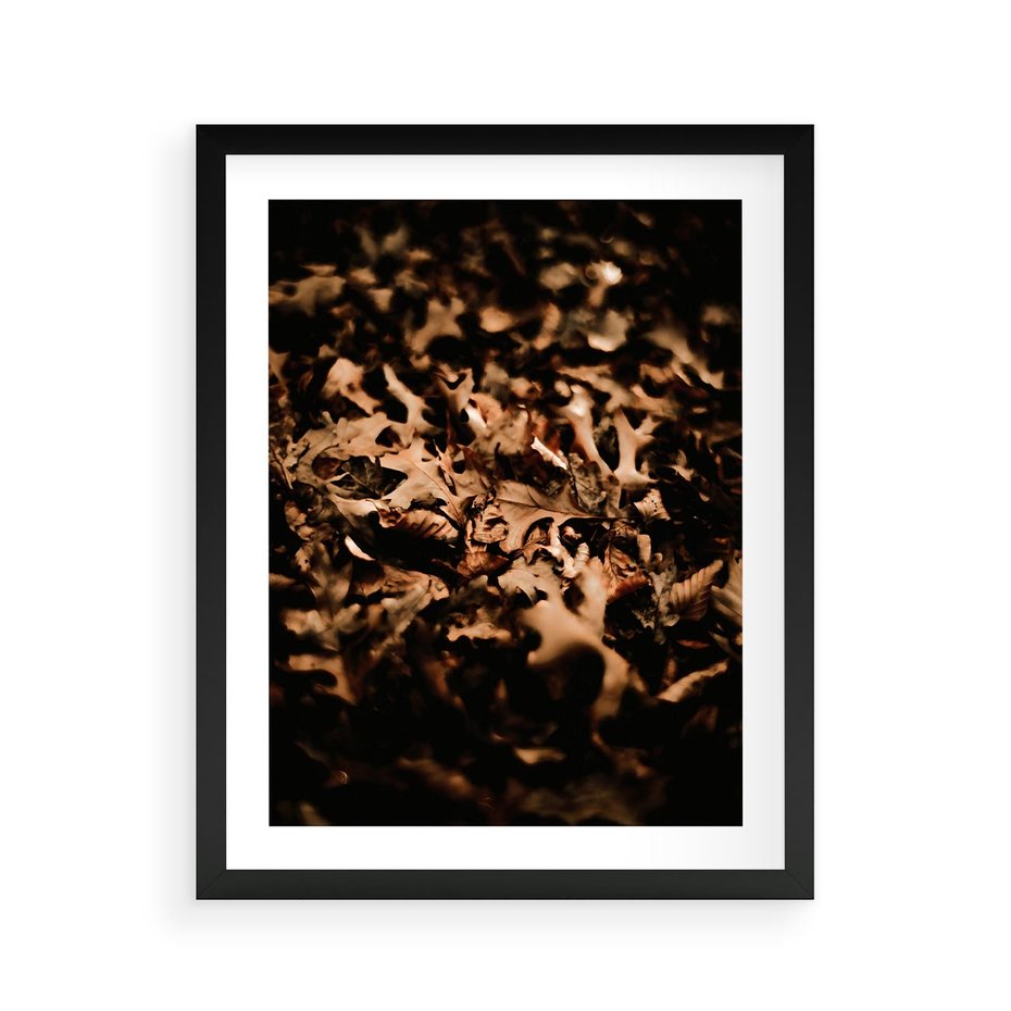Plakat w ramie 40x50 - Jesienne Liście: Nostalgiczna Kolorystyka - suche liście, jesień - rama czarna
