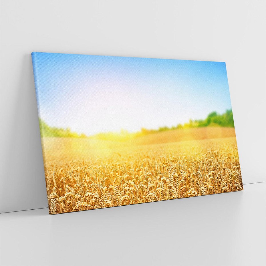Obraz na płótnie 100x70 - Żyzne Pola - pole, pszenicy